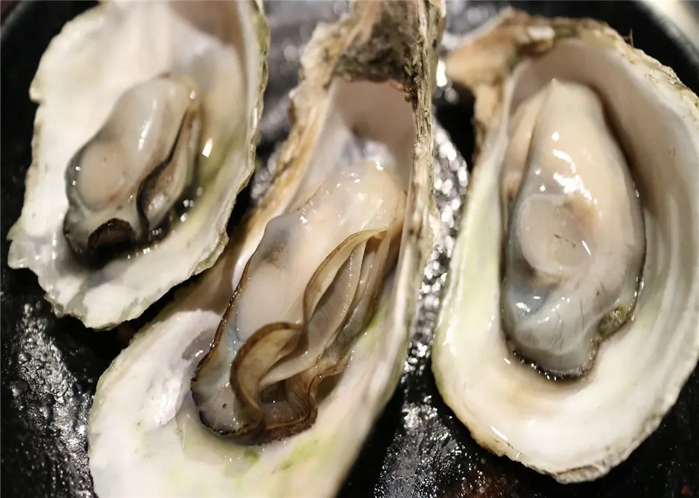 Fresh raw oysters on dark hot plate